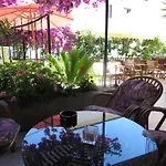Harrys Bar & 4*